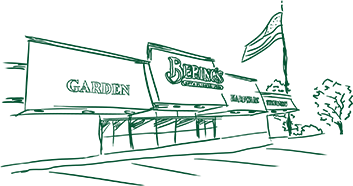 Sketch of Bering's Westheimer Location