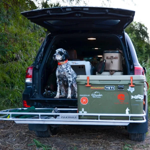 Pakmule - Sway-Back Design2