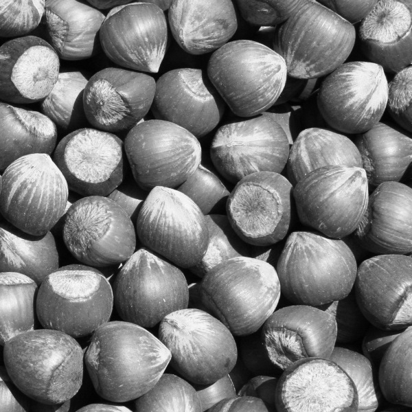 Coffee - Hazelnut Supreme Decaf