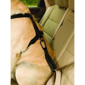 Kurgo Tru-Fit Smart Harness Seatbelt Loop