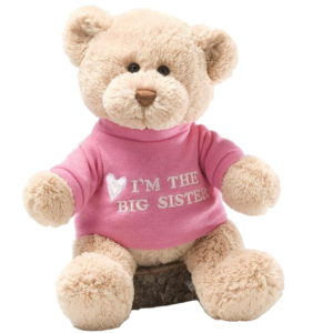 Gund I'm the Big Sister 12 Plush Bear