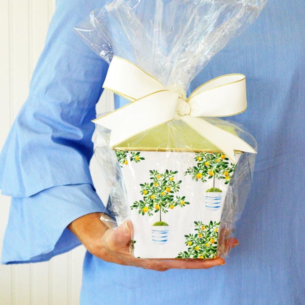 Lemon Tree, WH Hostess X Hedge Farm Cache Pot Candle