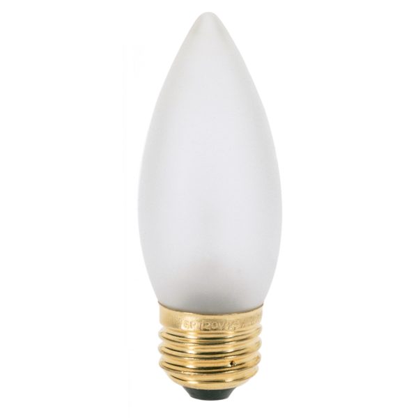 Westinghouse 25 Watt Frosted Incandescent Decorative Light Bulb