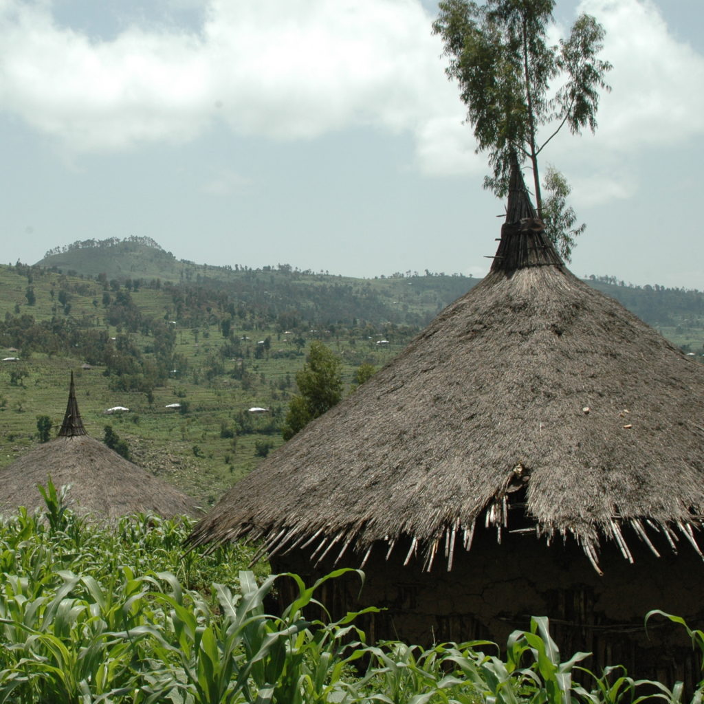 Coffee - Ethiopian Harar