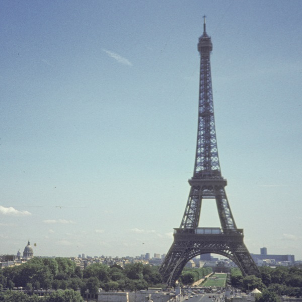 Coffee - French Roast