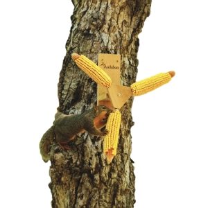 Audubon Squirrel Spinner