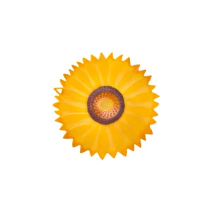 Charles Viancin Sunflower Lid - 6in