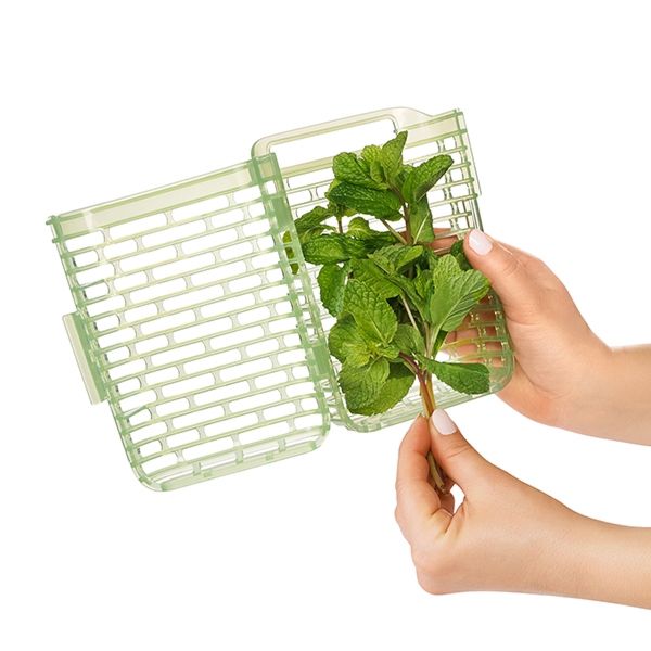 OXO GreenSaver Herb Keeper Small Berings