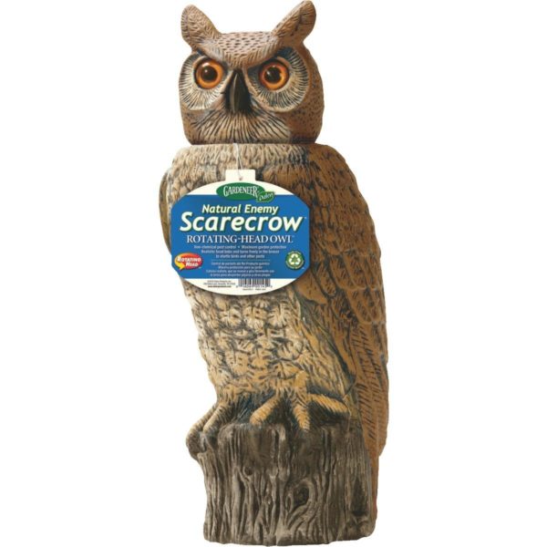 OWL ROTATING HEAD