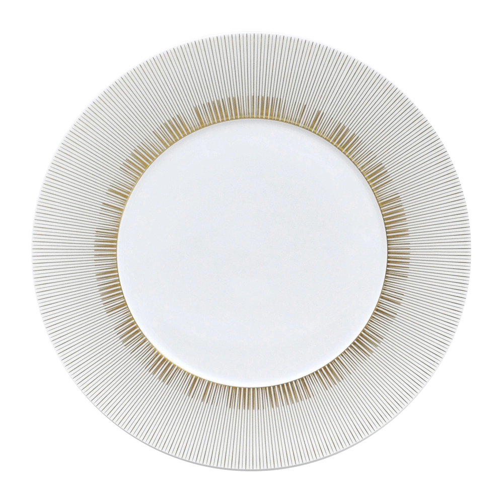 Bernardaud Sol Dinner Plate