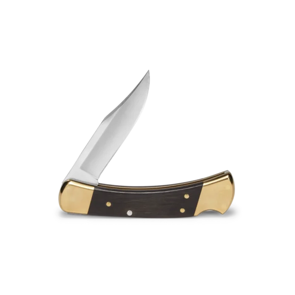 Buck 110 Folding Hunter Knife