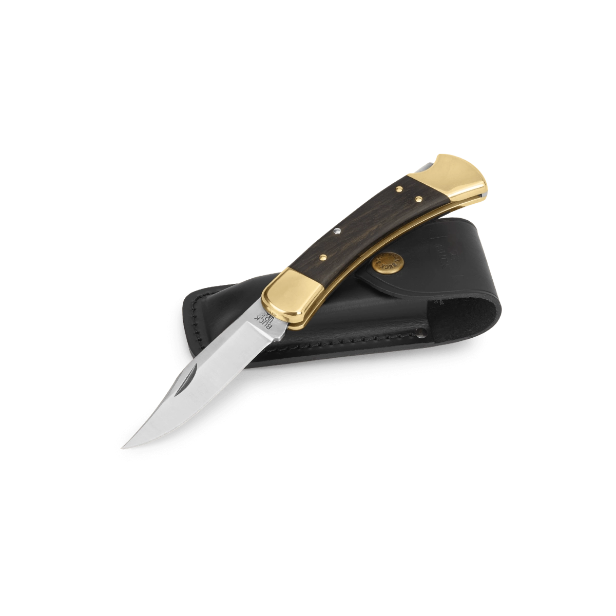 Buck 110 Folding Hunter Knife3