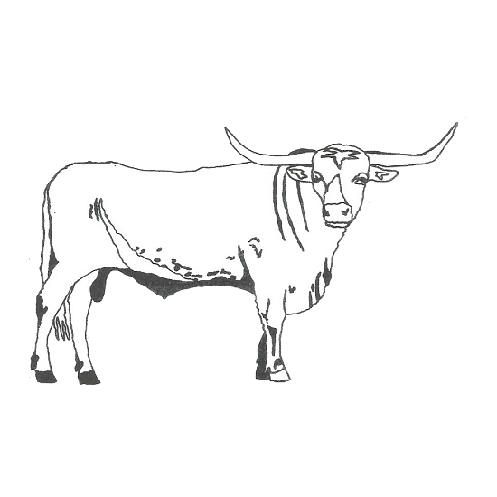 Evergreen Crystal Etched Longhorn