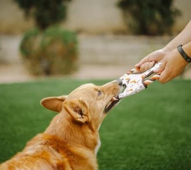 P.L.A.Y Vanilla Flying Disk Small