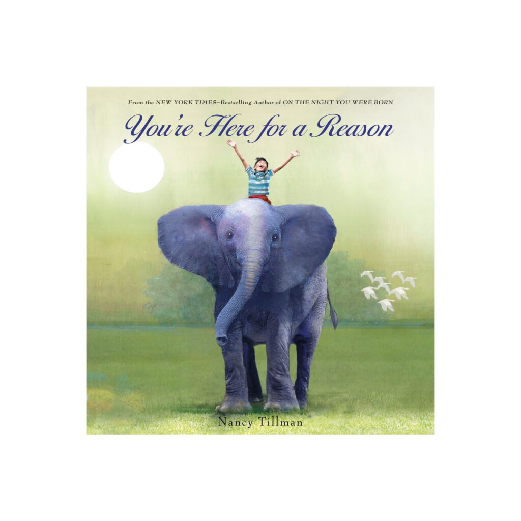 You're Here for a Reason by Nancy Tillman