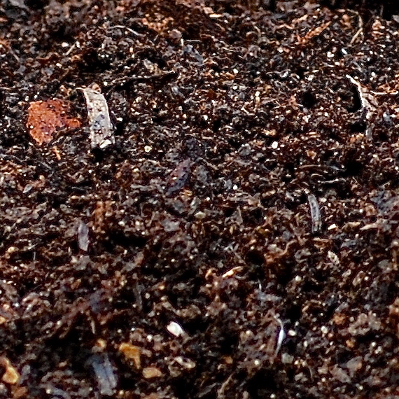 Nature's Way Leaf Mold Compost 40 lbs