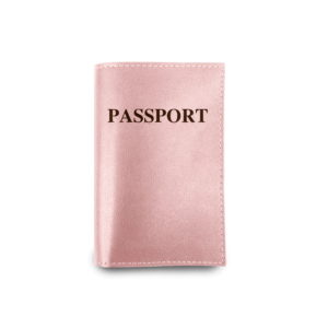 Jon Hart Passport Cover – Blush