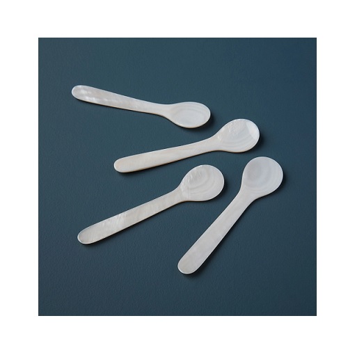 Seashell Spoons, Large Set of 4