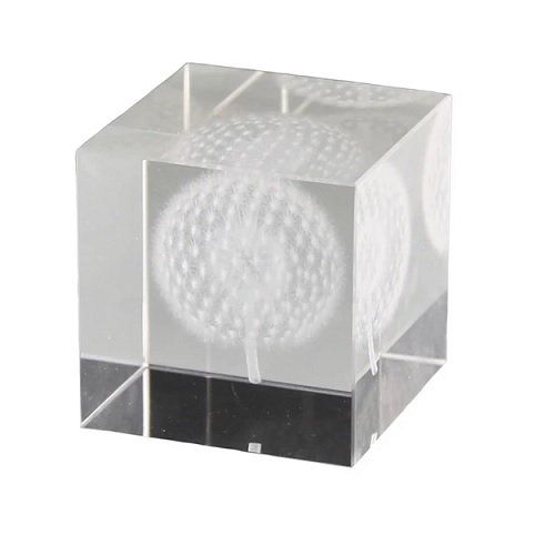 HomArt Glass Hologram - Dandelion