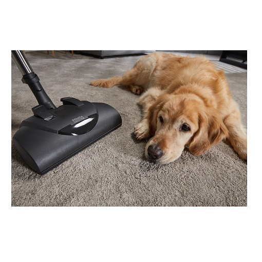 Miele Classic C1 Cat & Dog Canister Powerline Vacuum - Lotus White