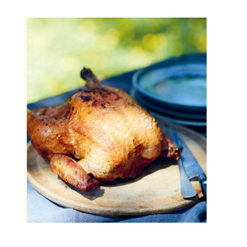 Cooking on the Big Green Egg