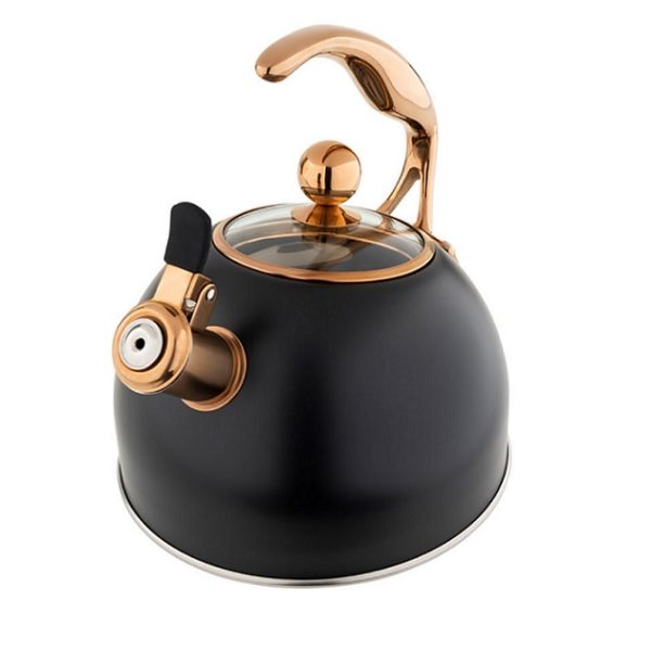 https://www.berings.com/wp-content/uploads/2022/03/matte-black-tea-kettle-2-600x600.jpg