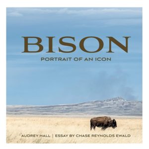 Bison: Portrait of an Icon (Hardcover)