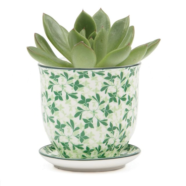 Liberte 3.25" Pot and Saucer - Green Leaves