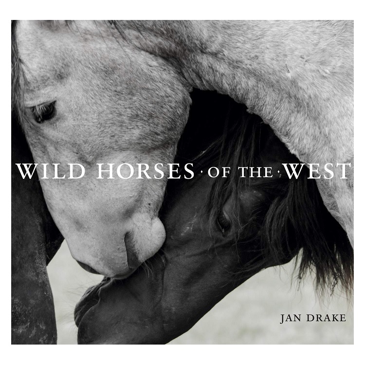 Wild Horses of the West (Hardcover) Berings