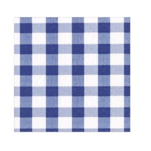 Gingham Paper Cocktail Napkins - Blue