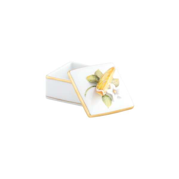 Herend Square Box with Orange2