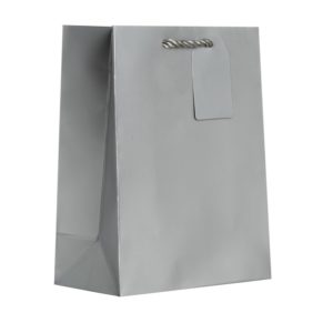 Jillson Roberts Medium Gift Bag - Matte Silver