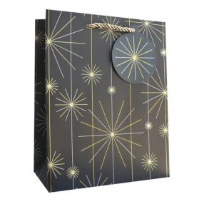 Jillson Roberts Medium Gift Bag - Starburst