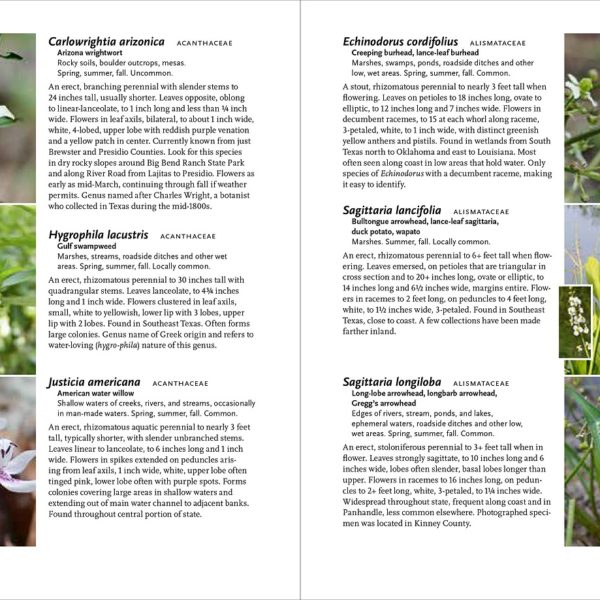 Wildflowers of Texas (A Timber Press Field Guide)