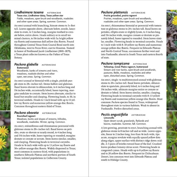 Wildflowers of Texas (A Timber Press Field Guide)