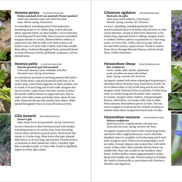 Wildflowers of Texas (A Timber Press Field Guide)