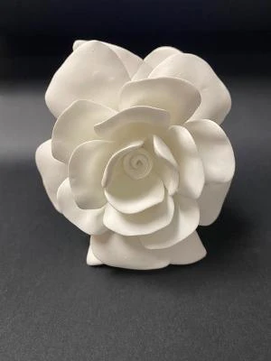 CAMEO PORCELAIN VASE