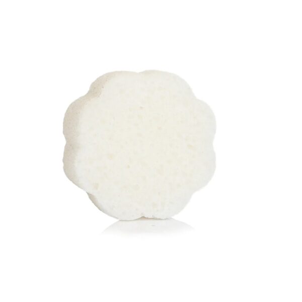 Spongelle Beach Grass Daisy Spongette