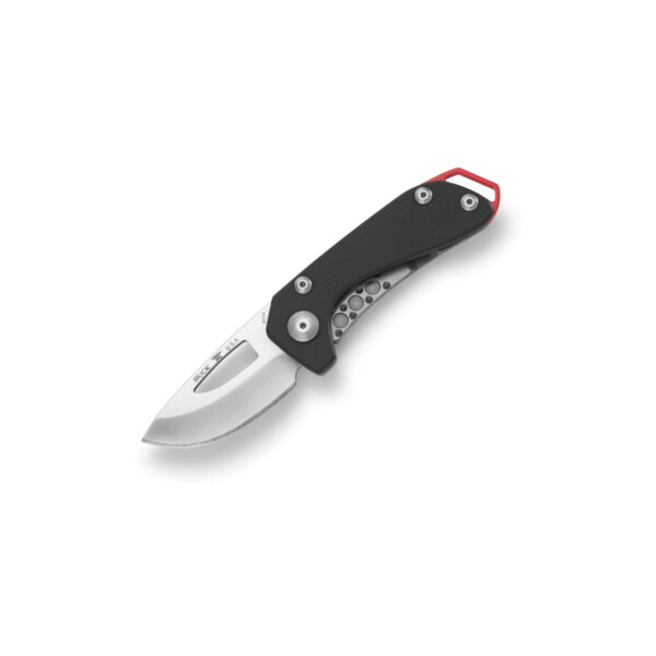 Buck 417 Budgie Knife - Black