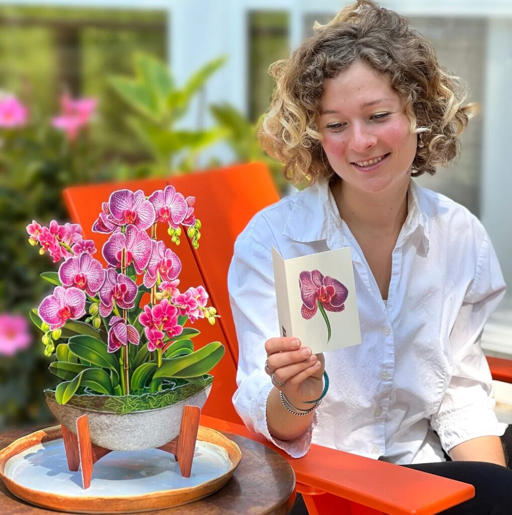 Orchid Oasis Pop Up Bouquet