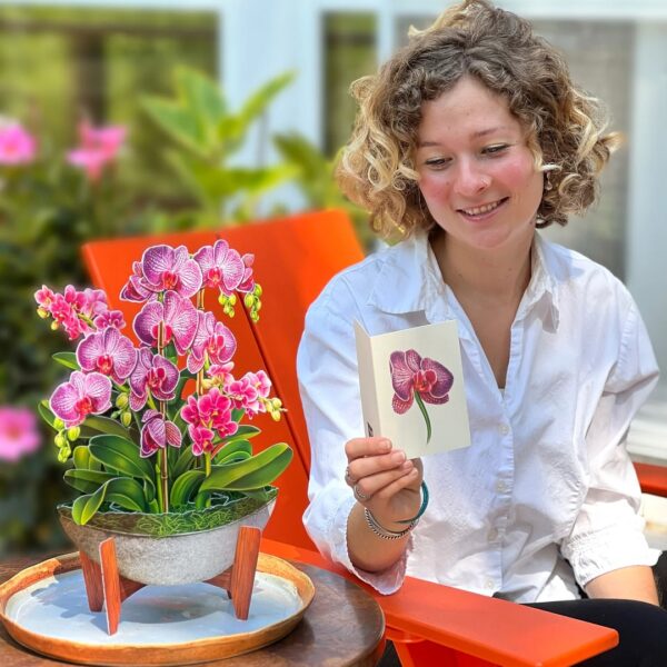 Orchid Oasis Pop Up Bouquet