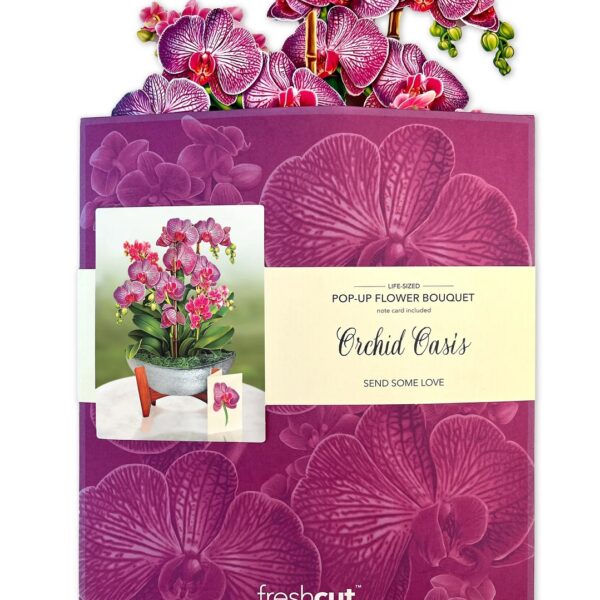 Orchid Oasis Pop Up Bouquet