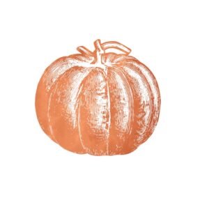 Hester & Cook Die-Cut Paper Pumpkin Placemats