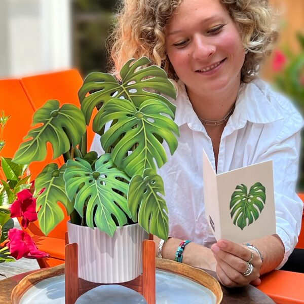 FreshCut Paper Monstera Plant Pop Up