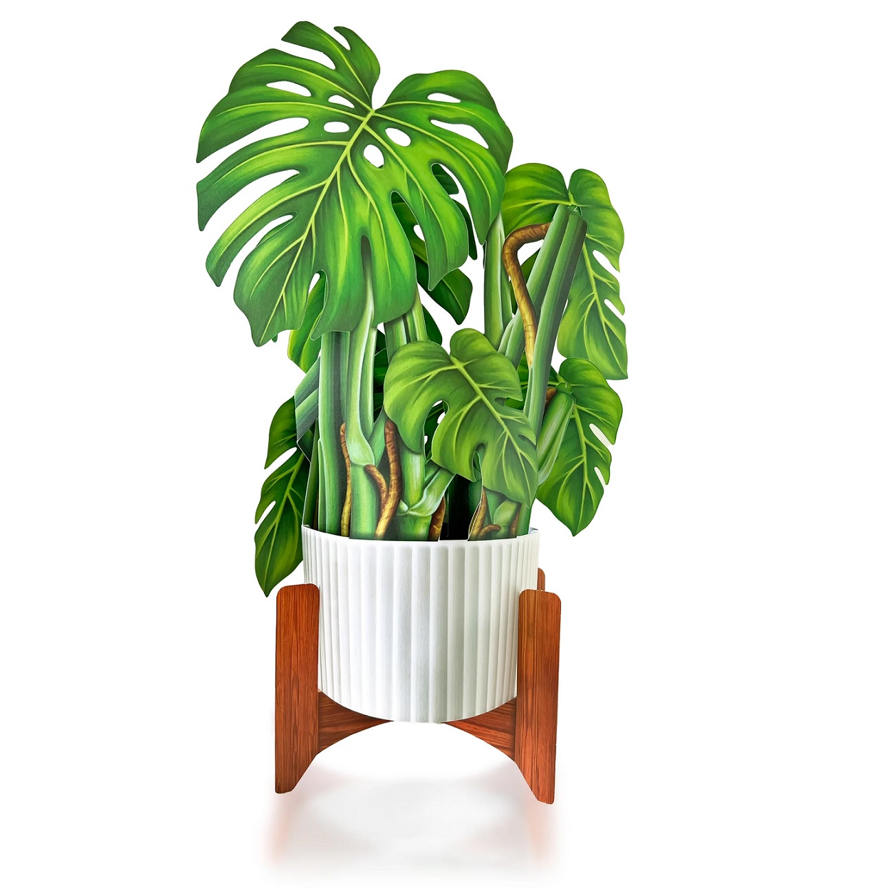 FreshCut Paper Monstera Plant Pop Up