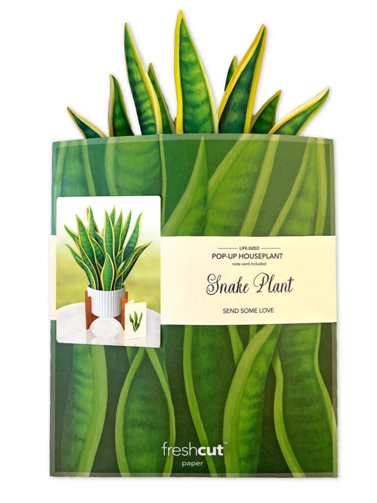 FreshCut Paper Snake Plant Pop Up