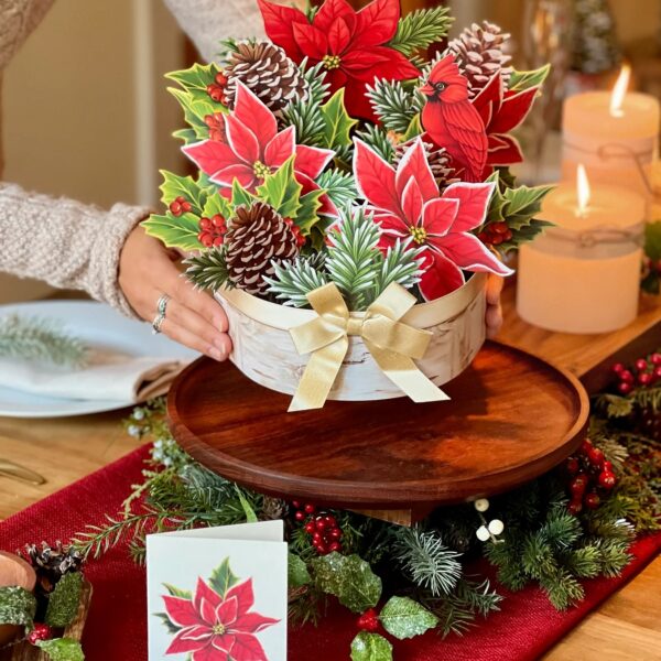 Birch Poinsettia Pop Up