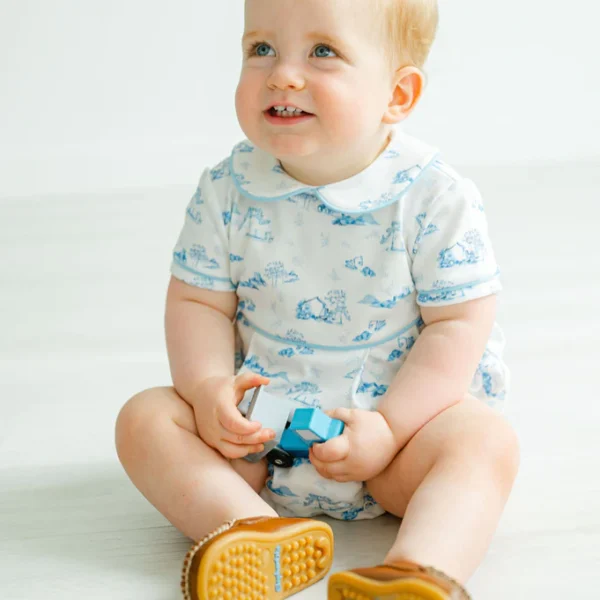 Trucks Toile Alexander Bubble2