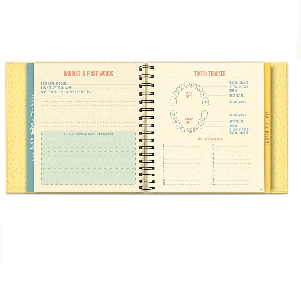 Bundle of Joy Guided Journal | Berings