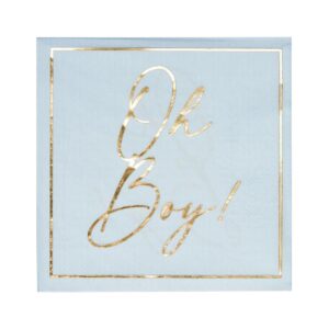 Sophistiplate Oh Boy Blue Lunch Paper Napkins